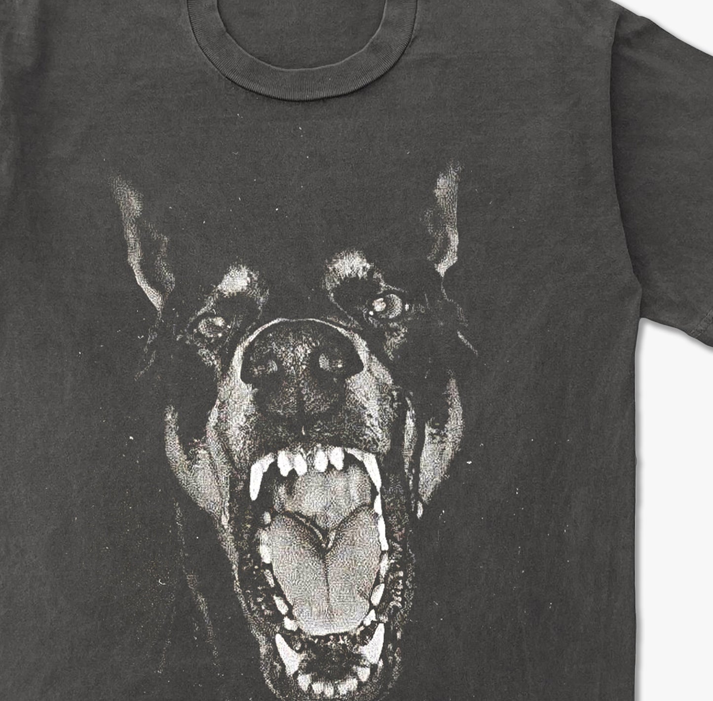 Dobermann Vintage Washed T-shirt
