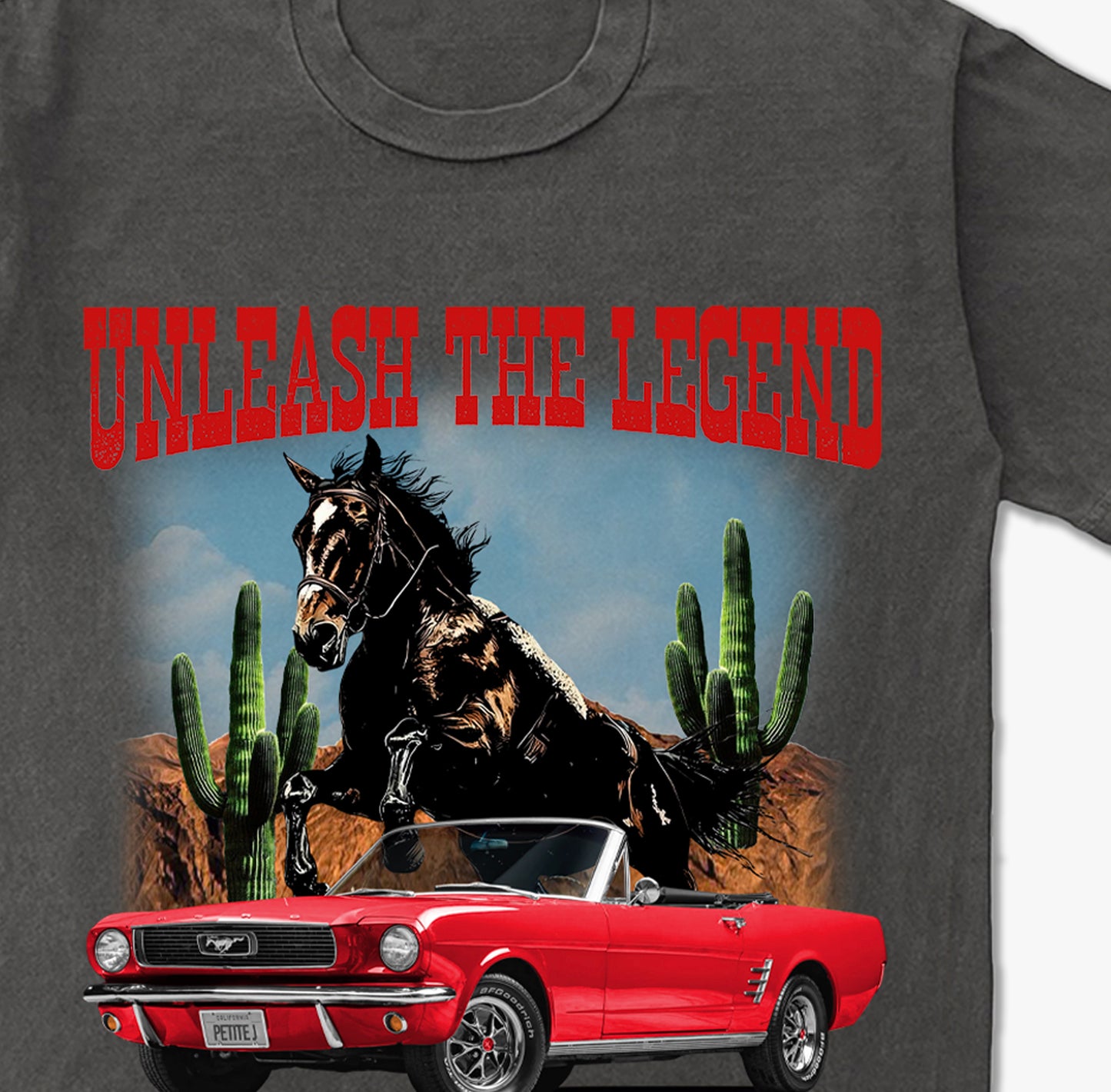Unleash the Legend Vintage Washed T-shirt