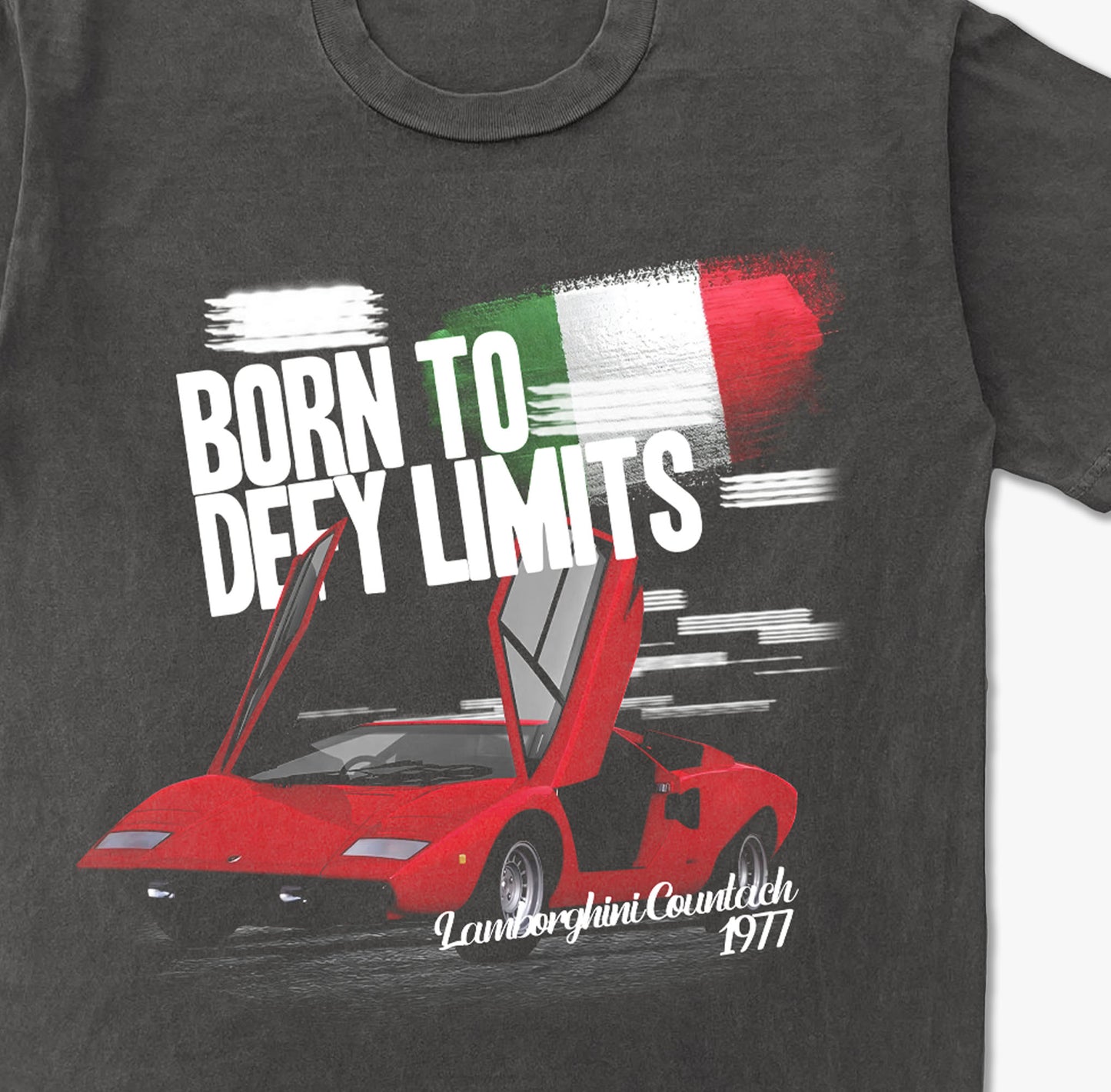 Born to Defy Limits Vintage Washed T-shirt