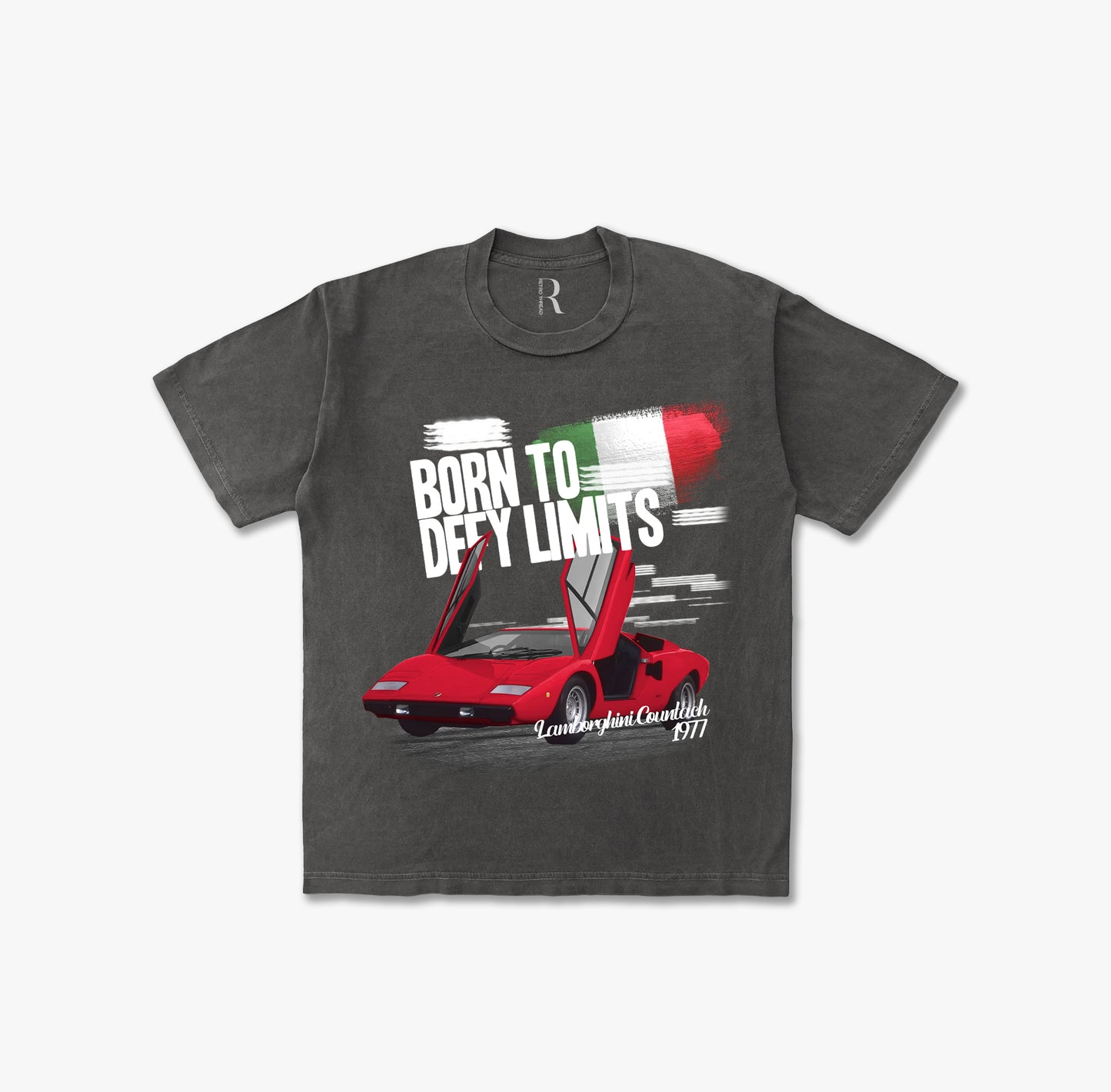 Born to Defy Limits Vintage Washed T-shirt