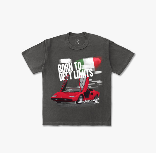 Born to Defy Limits Vintage Washed T-shirt