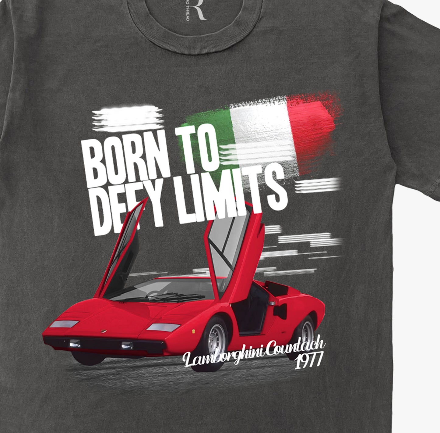 Born to Defy Limits Vintage Washed T-shirt
