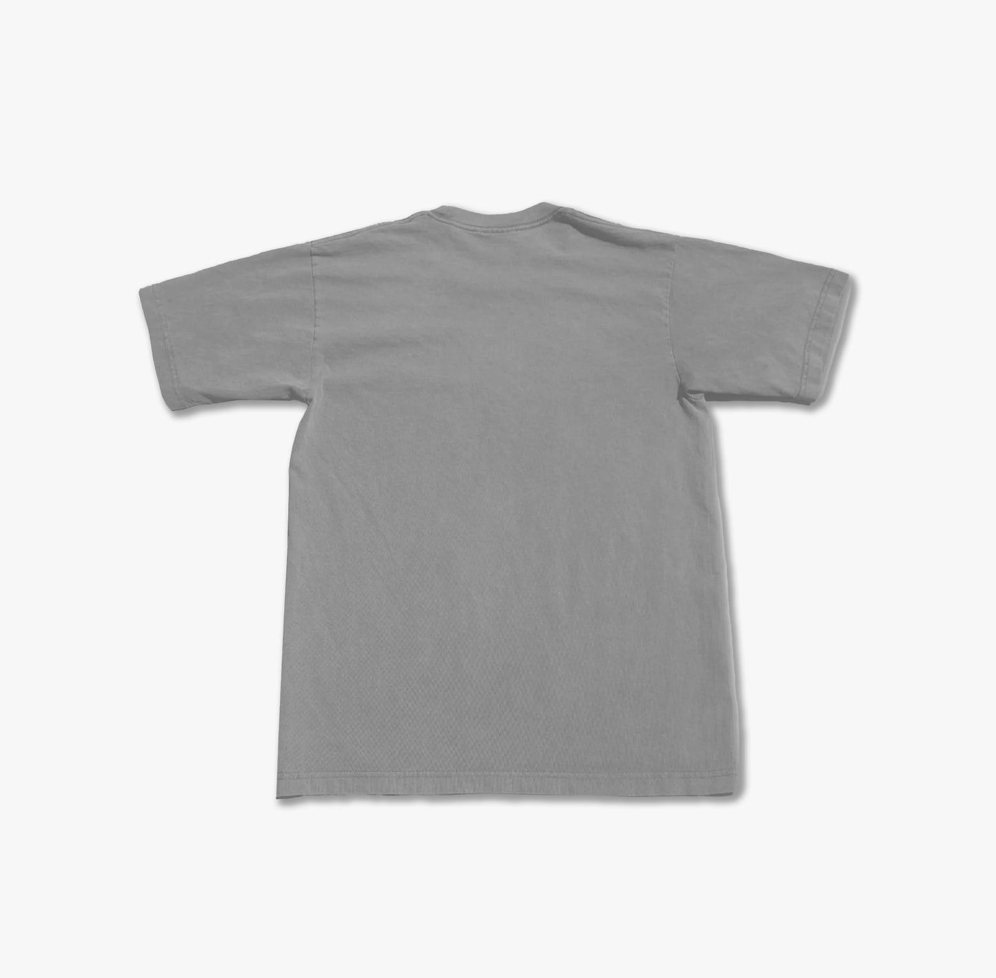 Nissan Godzilla The Goat Vintage Washed Tee