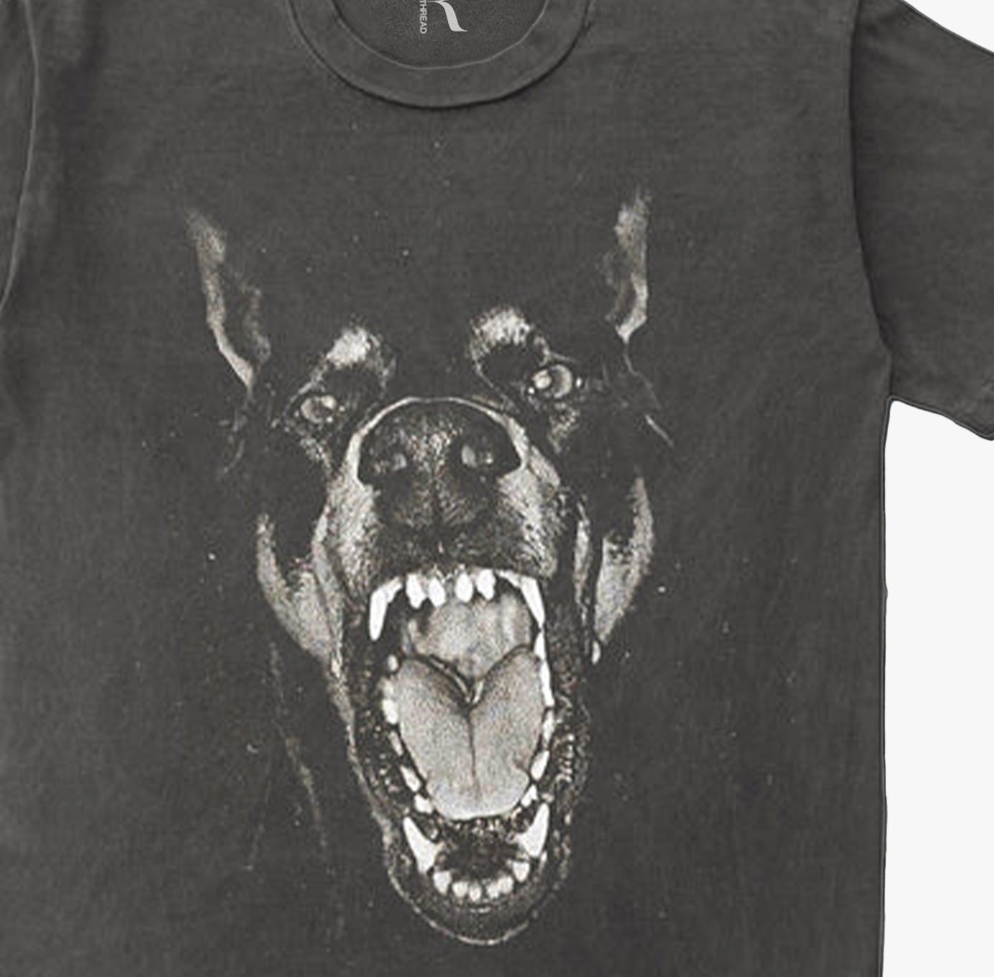 Dobermann Vintage Washed T-shirt