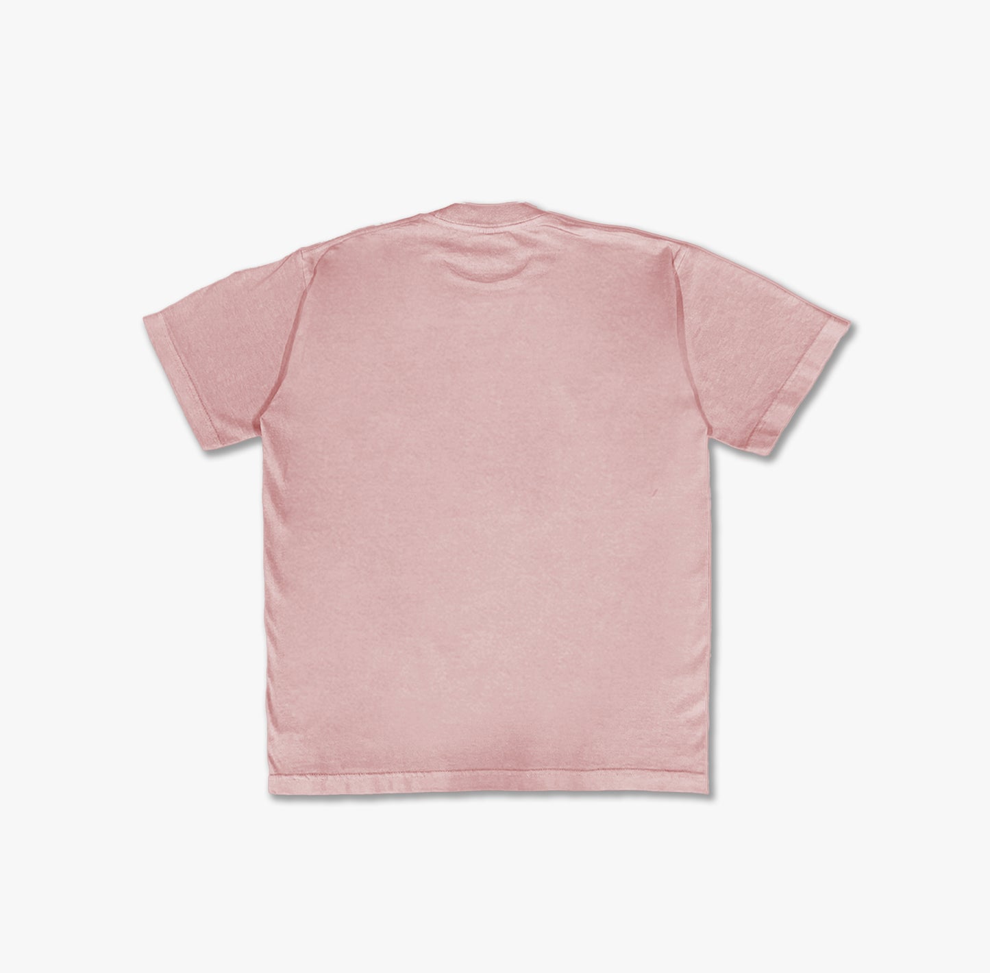 Fuck Around and Find Out Vintage Washed T-shirt